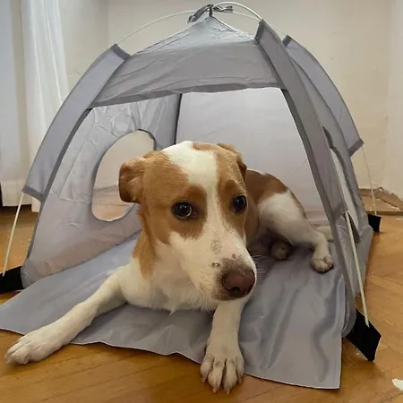 Portofino Sobe - With Free Parking Πανσιόν 4*